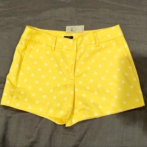 Ann Taylor shorts
